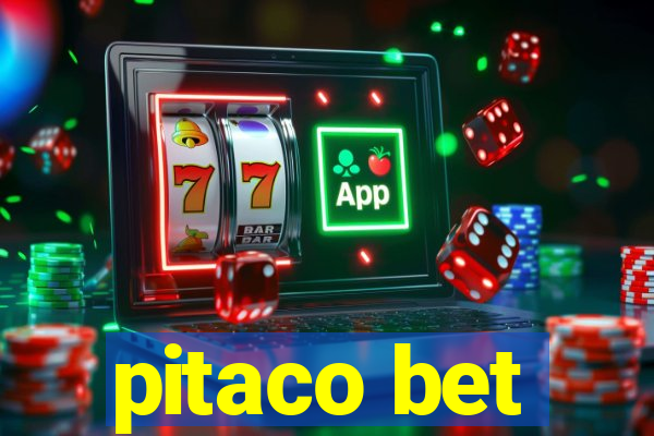 pitaco bet